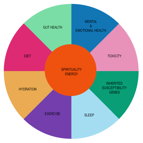 Self Care Pie Chart